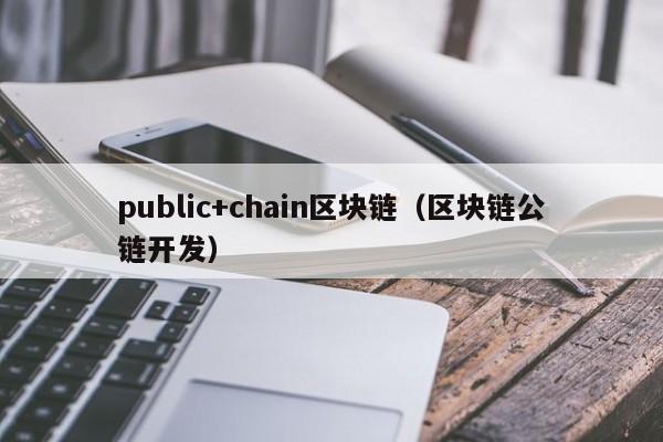 public+chain区块链（区块链公链开发）