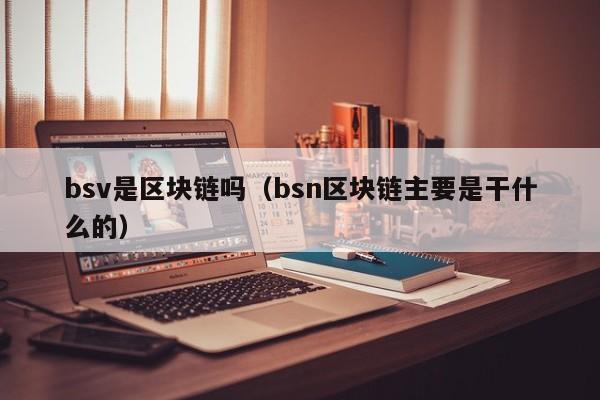 bsv是区块链吗（bsn区块链主要是干什么的）
